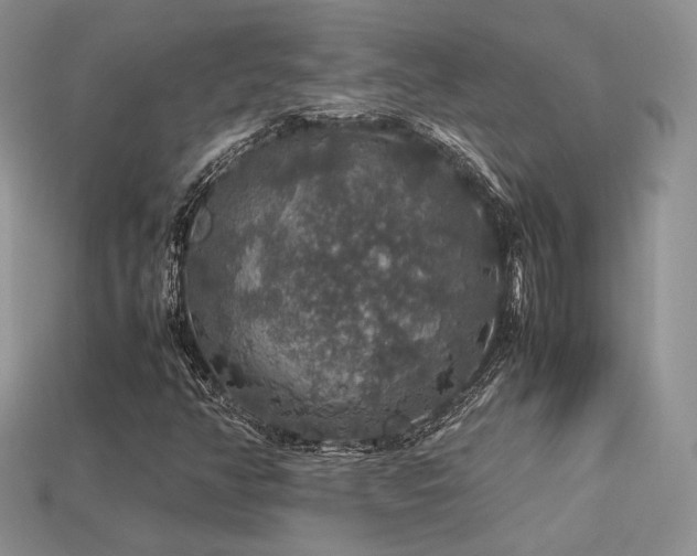 X0000113601350200909181343