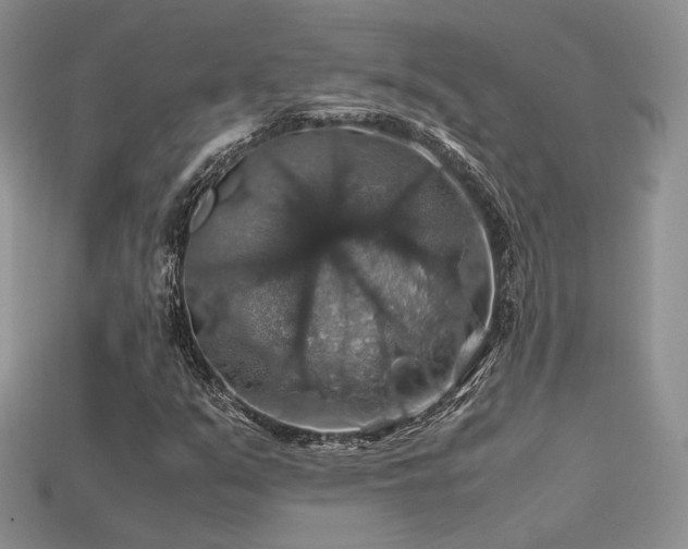 X0000113601351200909181343