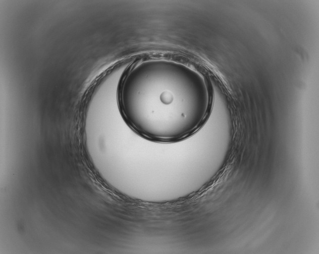 X0000113601352200909181343