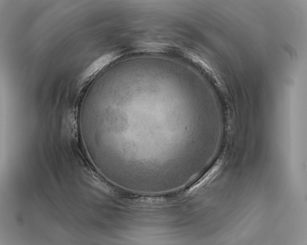 X0000113601354200909181343