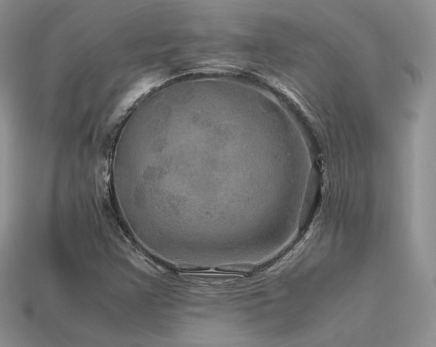 X0000113601355200909181343