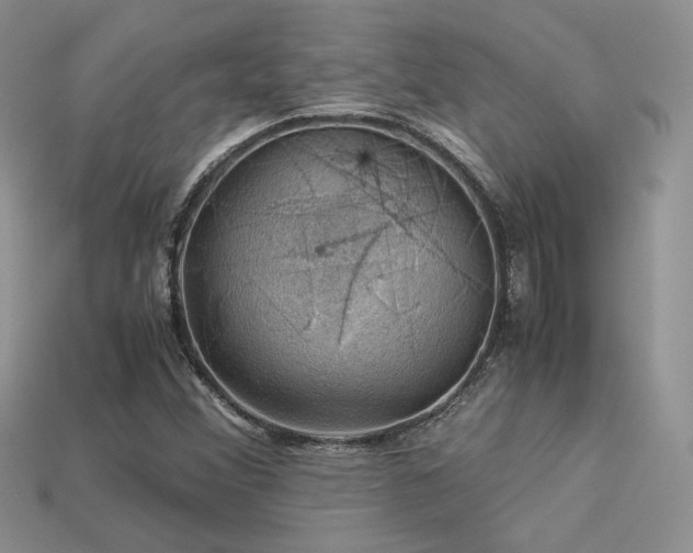 X0000113601356200909181343