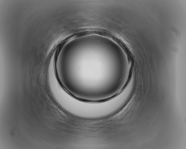 X0000113601357200909181343