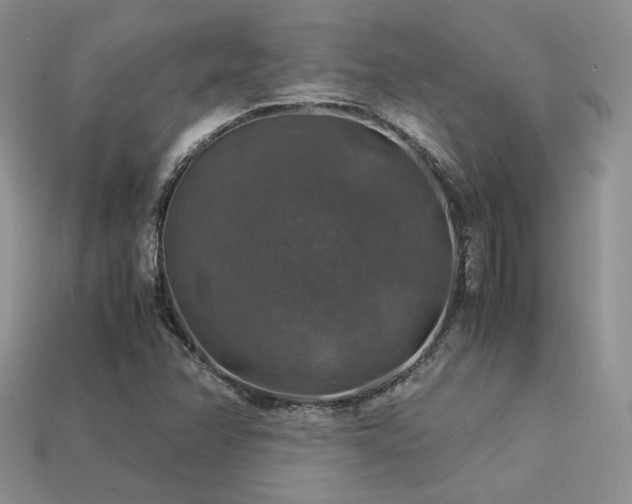 X0000113601358200909181343