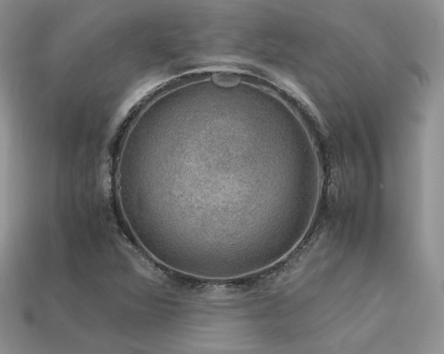 X0000113601360200909181343