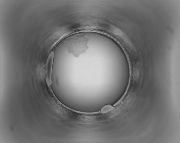 X0000113601361200909181343