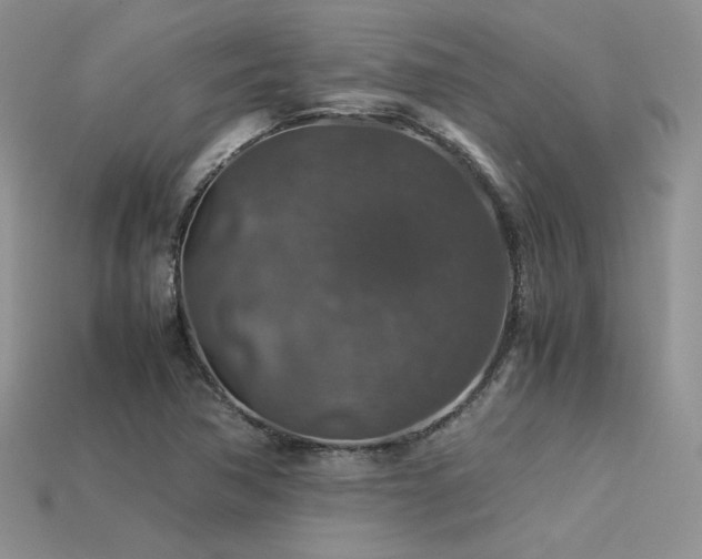 X0000113601362200909181343