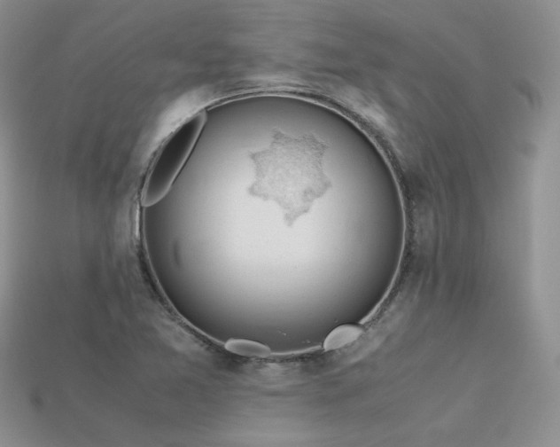 X0000113601365200909181343