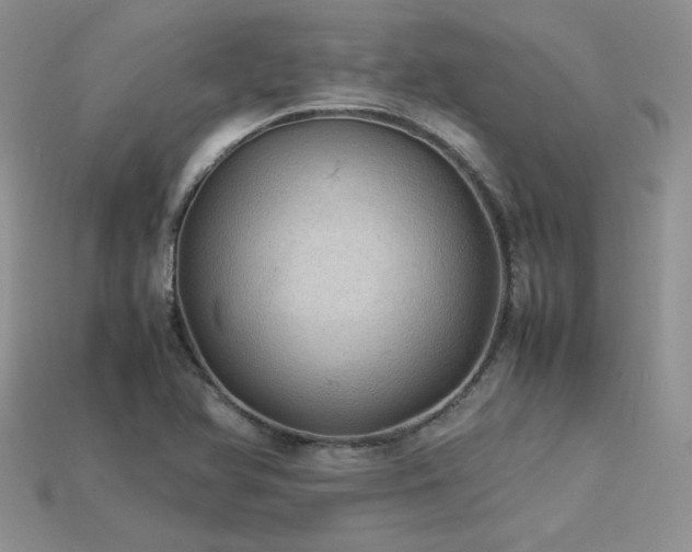 X0000113601366200909181343