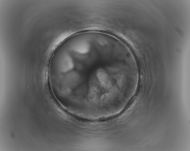 X0000113601367200909181343