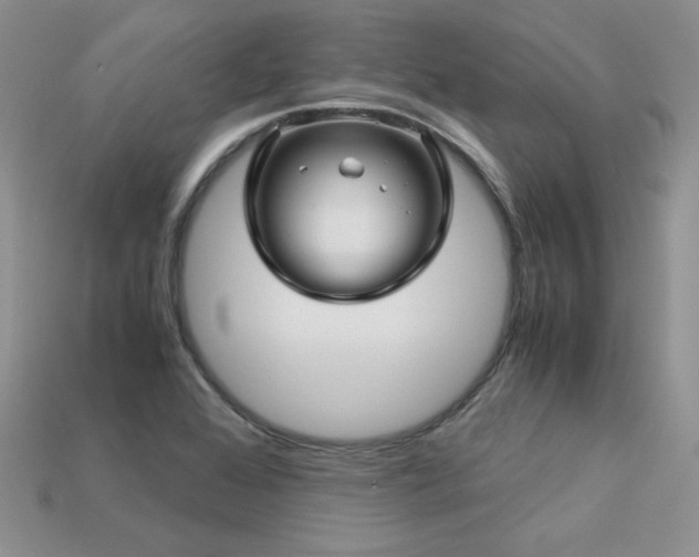 X0000113601368200909181343