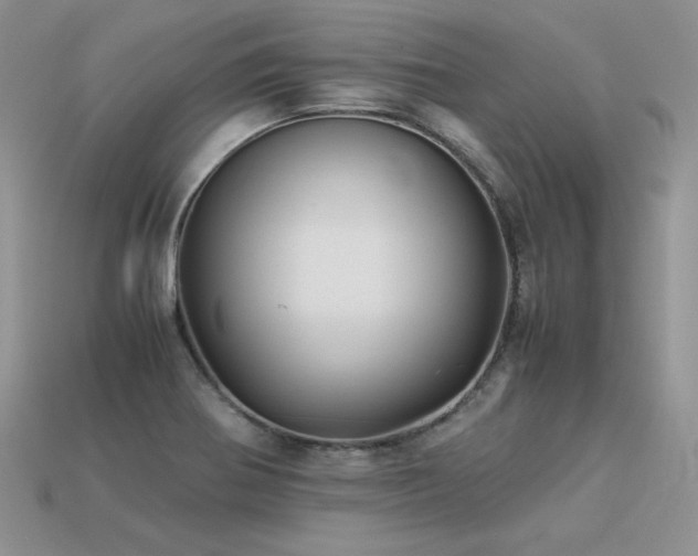 X0000113601370200909181343