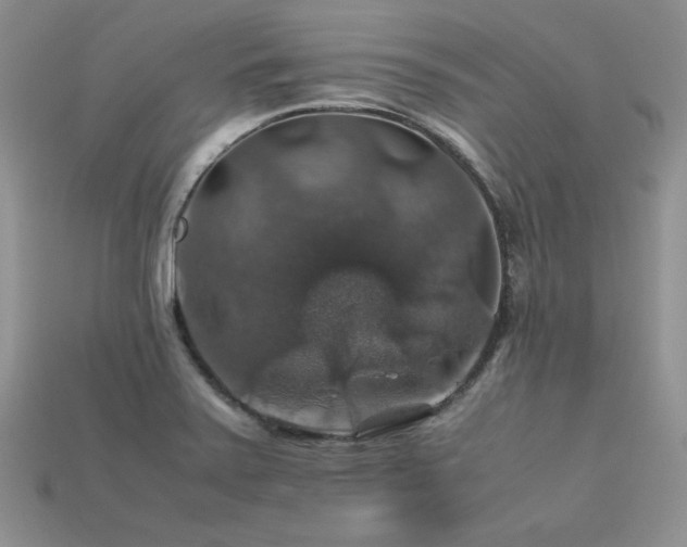 X0000113601371200909181343