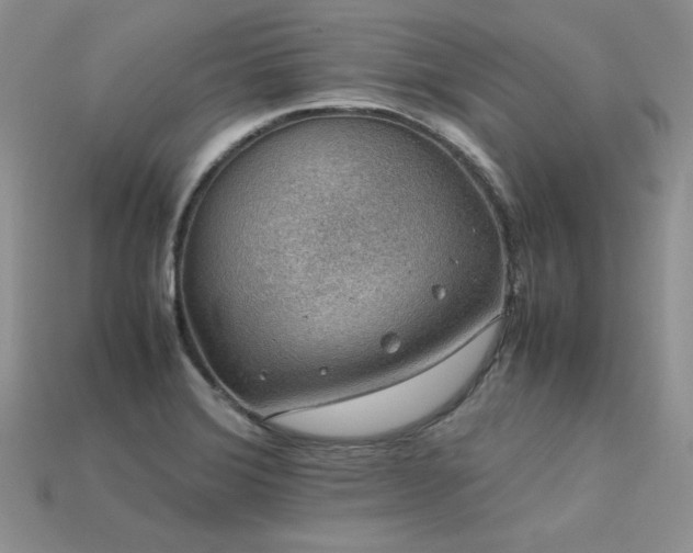 X0000113601372200909181343