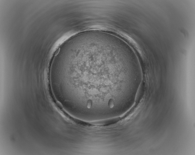 X0000113601373200909181343