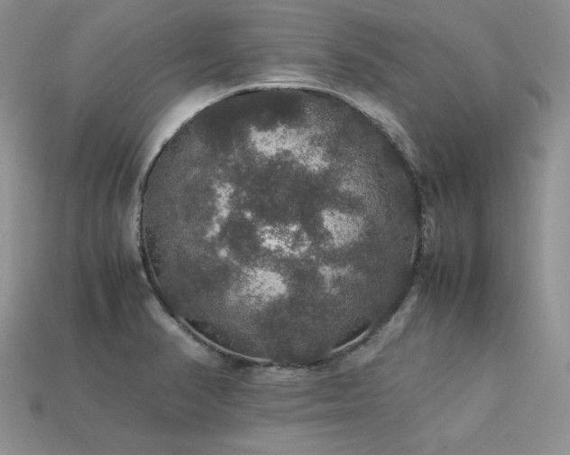 X0000113601374200909181343