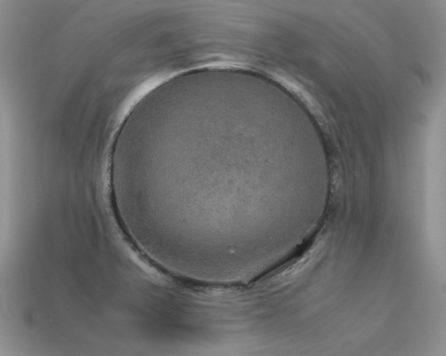 X0000113601375200909181343