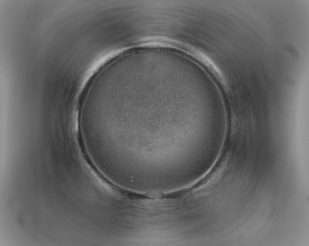 X0000113601376200909181343