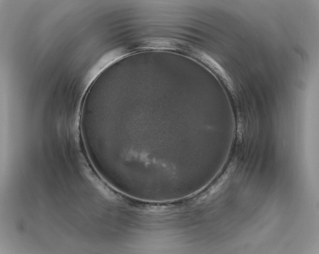 X0000113601378200909181343