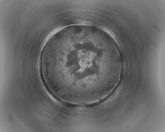 X0000113601379200909181343