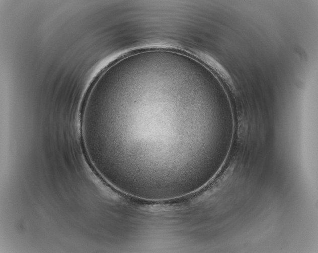 X0000113601380200909181343