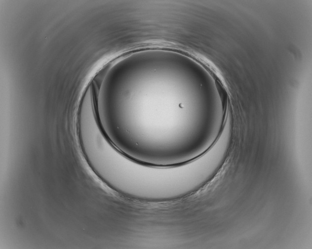 X0000113601381200909181343