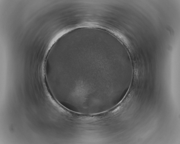 X0000113601382200909181343