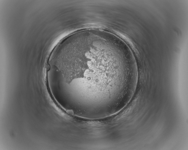 X0000113601383200909181343