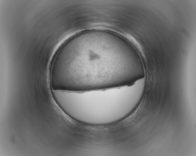 X0000113601384200909181343