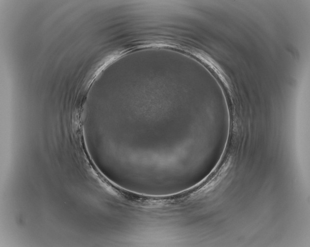 X0000113601385200909181343