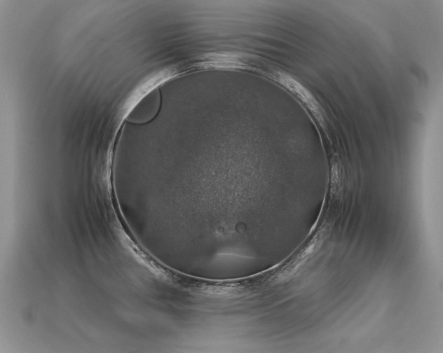 X0000113601386200909181343