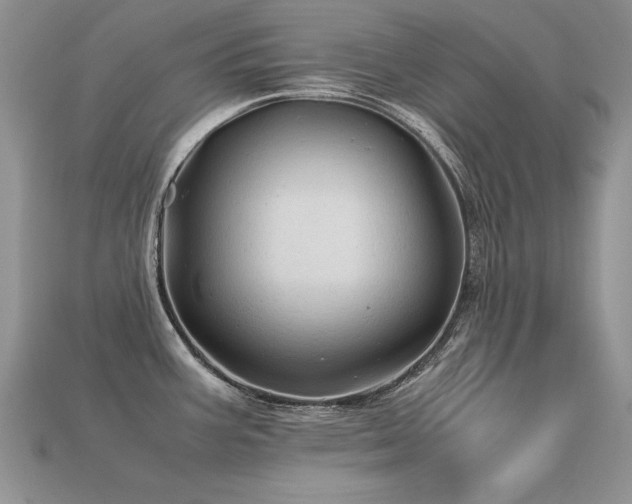 X0000113601387200909181343