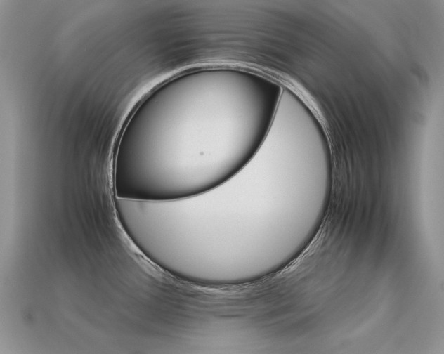 X0000113601388200909181343