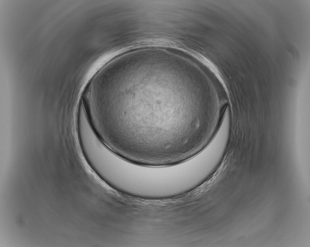 X0000113601389200909181343