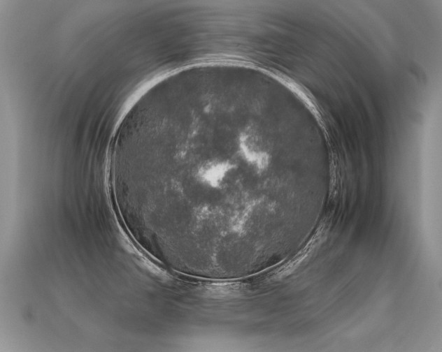 X0000113601390200909181343