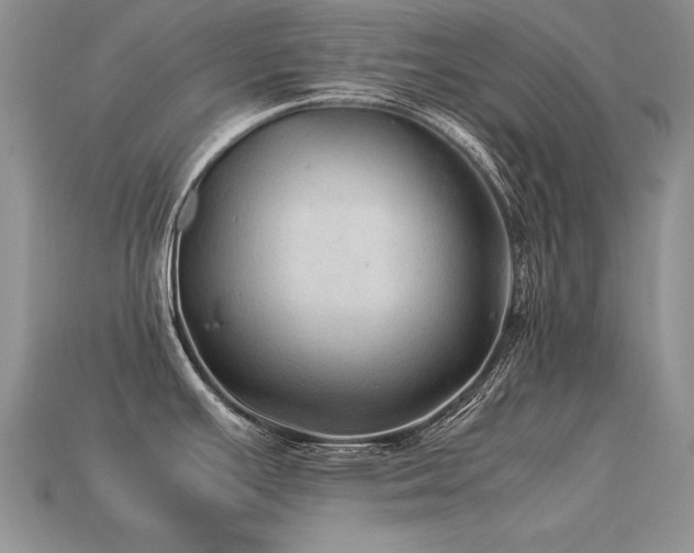 X0000113601391200909181343