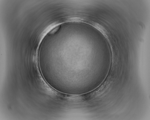 X0000113601392200909181343