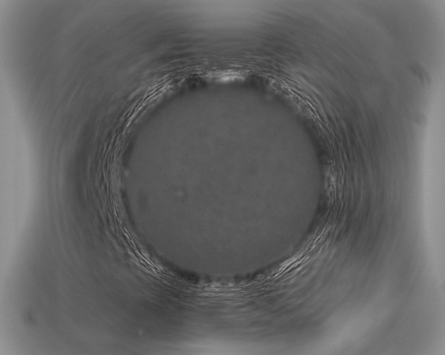 X0000113601393200909181342