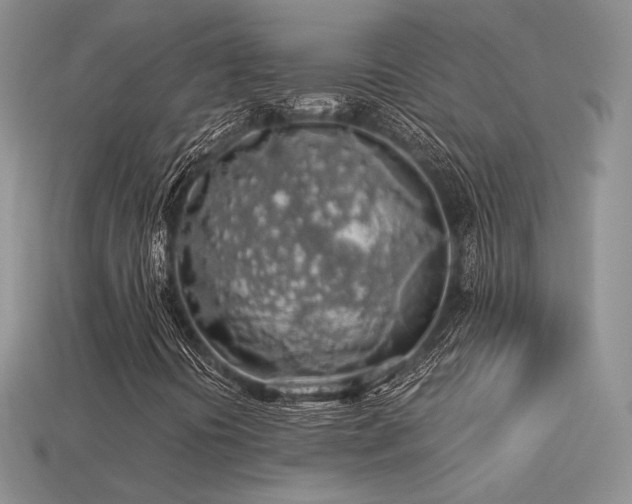 X0000113601394200909181342