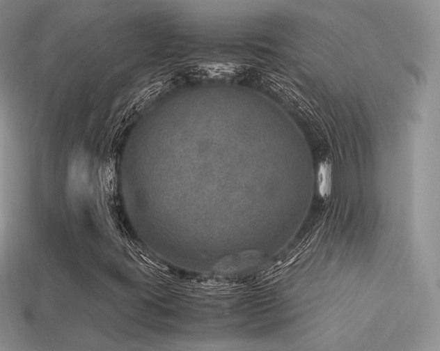 X0000113601395200909181342