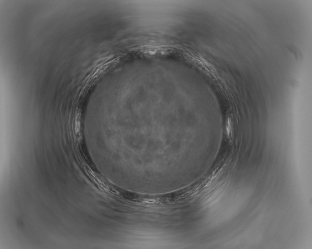 X0000113601396200909181342