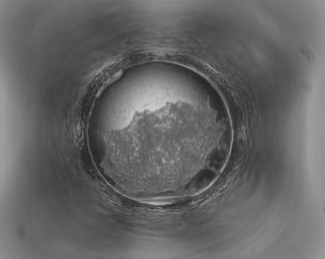 X0000113601398200909181342