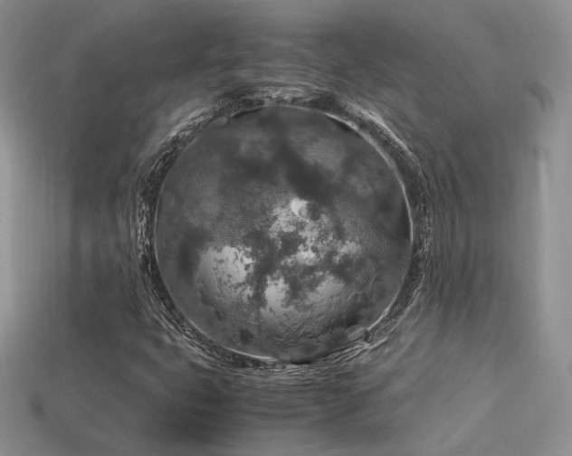 X0000113601399200909181342