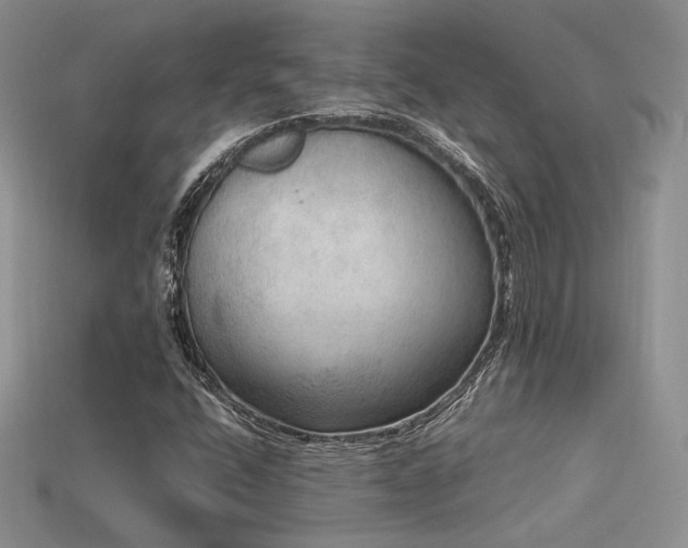 X0000113601400200909181342