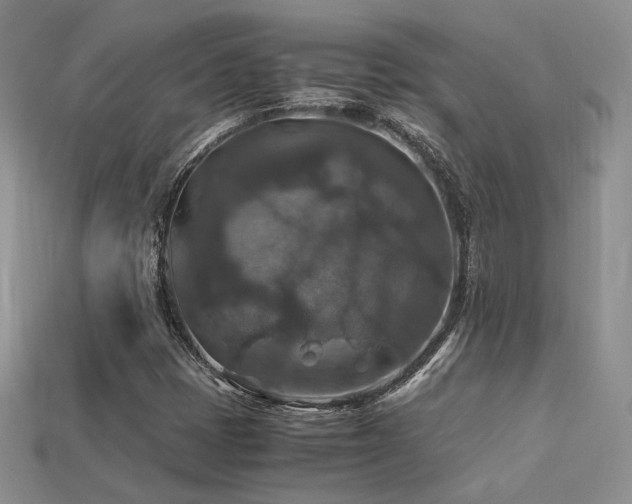 X0000113601401200909181342