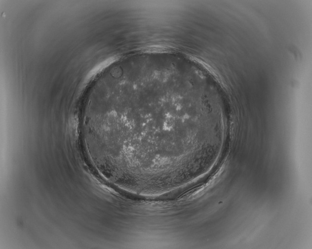 X0000113601402200909181342