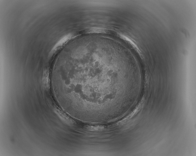 X0000113601403200909181342