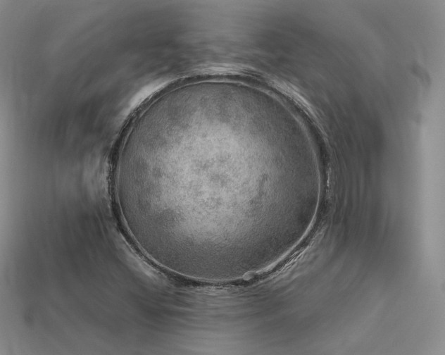 X0000113601404200909181342