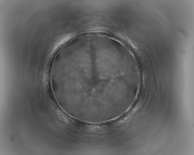 X0000113601405200909181342