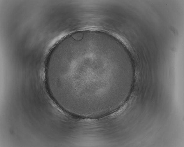 X0000113601406200909181342